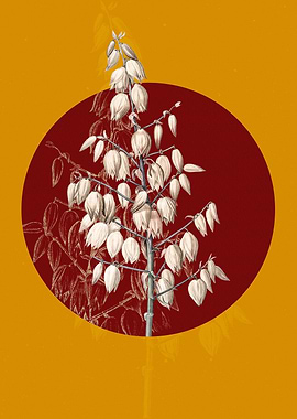 Vintage Adams Needle