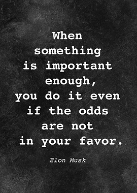 Elon Musk Quote D002
