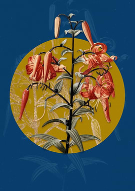 Vintage Tiger Lily Flower