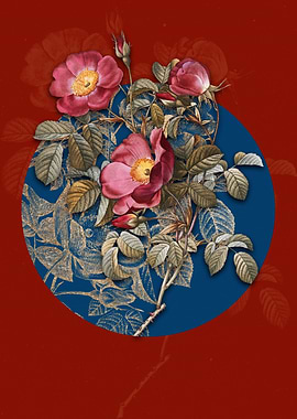 Vintage Rose of Love Bloom