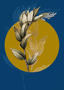 Vintage Treacleberry