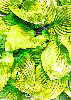 Leafy Home Plant Abstract