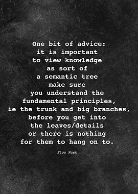 Elon Musk Quote D016