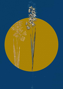 Vintage Turquoise Ixia