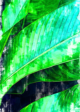 Palm Plant Leaves Abstract