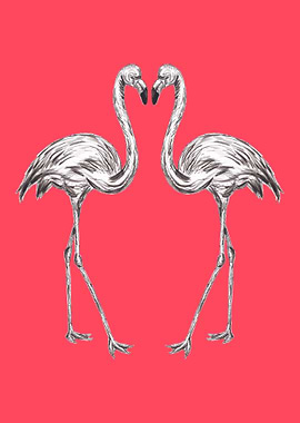 Pair of Flamingos
