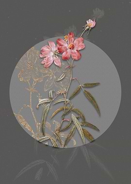 Vintage Peach Leaved Rose