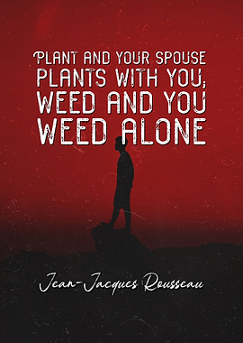 Jean Jacques Rousseau Q 6