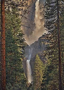 FOREST AND WATERFALL