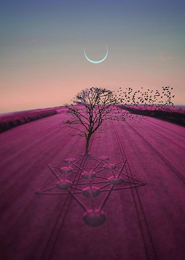 Sacred Geo Crop Circle