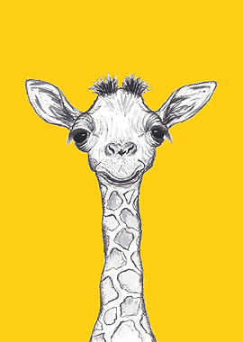 Baby Giraffe