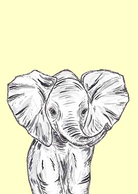 Baby Elephant