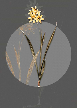 Vintage Ixia Fusco Citrina