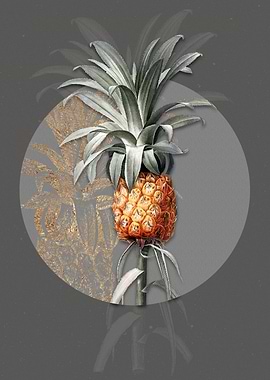 Vintage Pineapple Painting