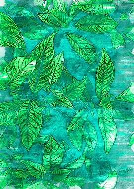 Foggy Greens Plant Leaves