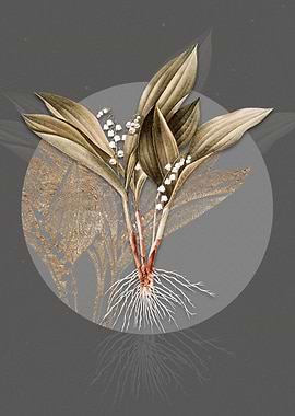 Vintage Lily of the Valley