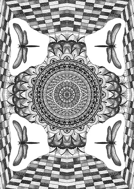 mirrored reflections