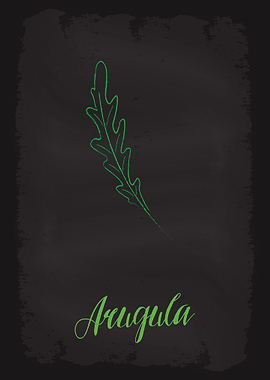Arugula Vegetable