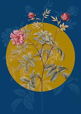 Vintage Cinnamon Rose