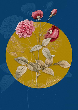 Vintage China Rose Bloom