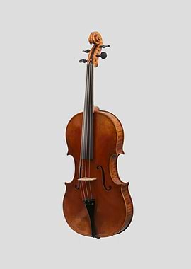 The Viola