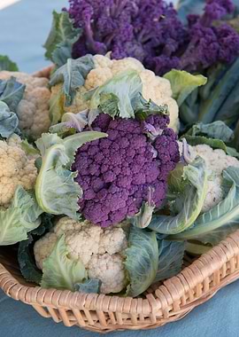 Purple Cauliflower