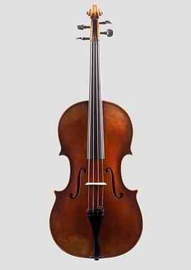 The Viola