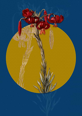 Vintage Lily Red Flower