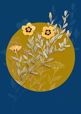 Vintage Rosa Persica