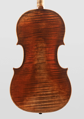 The Viola