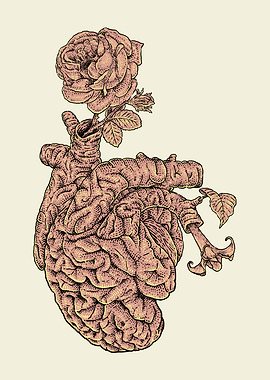 Brain Heart