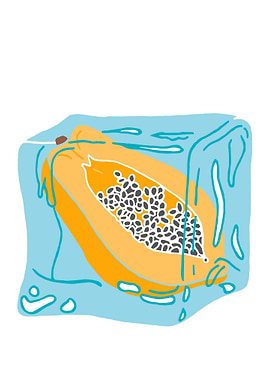 Ice Cube Fruit Papaya