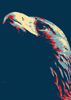 Eagle with Elegant Eye