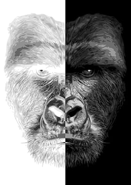 Gorilla