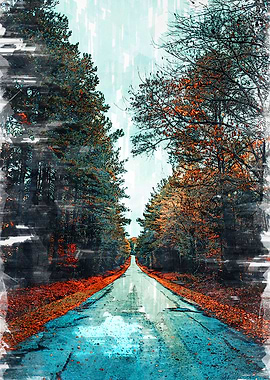 Forest Straight Road