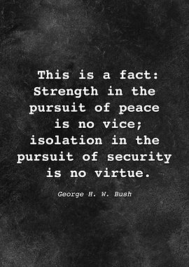 George H W Bush Quote D028