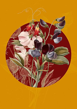 Vintage Sweet Pea Flowers