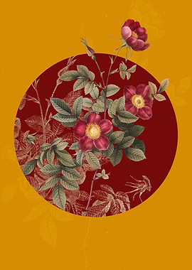 Blooming Alpine Rose