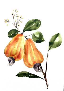 Fruit