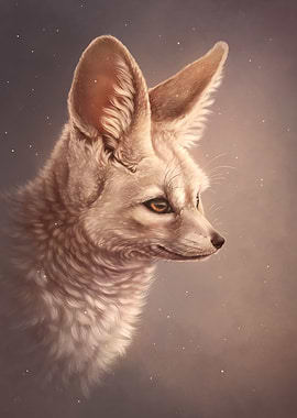 Fennec Fox