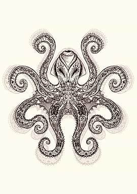 Octopus