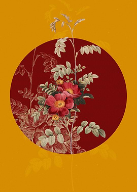 Blooming Alpine Rose