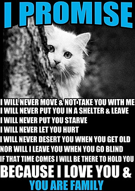 poster of cat love it