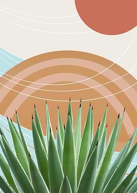 Agave Desert Oasis 1