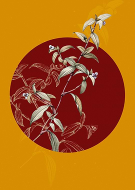 Birdbill Dayflower Flower