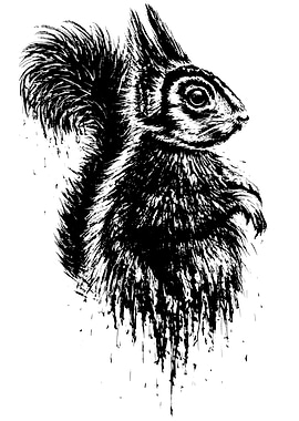 Squirrel Ink Dripping