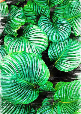 Greens Wide Leaves Marker