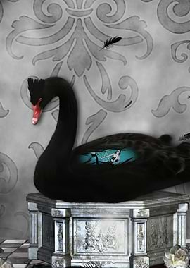 The black swan