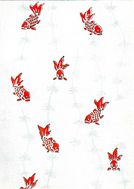 gold fish illustration