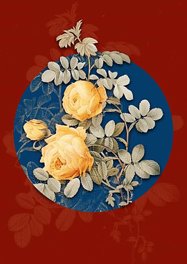 Vintage Sulphur Rose